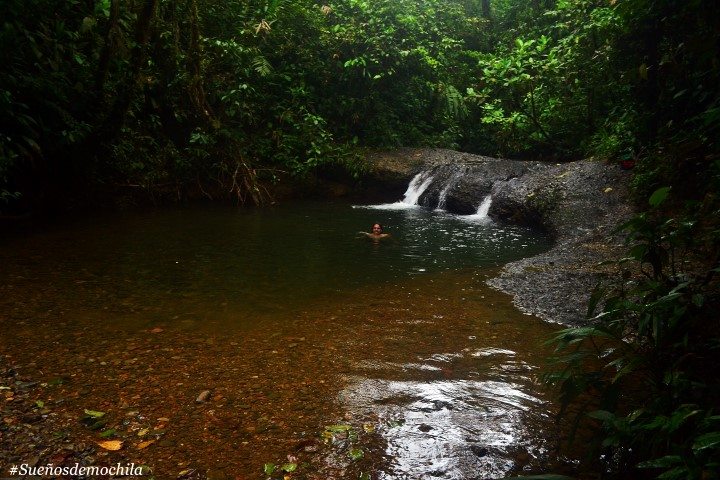 dsc_0909-small