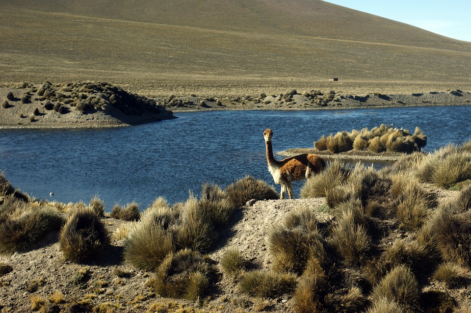 BELLEZAS DEL PERÚ. Los mejores lugares del Perú