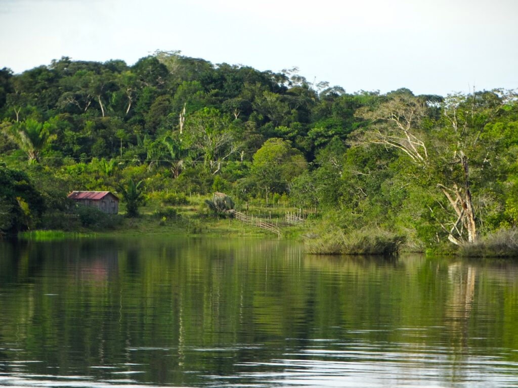 iquitos